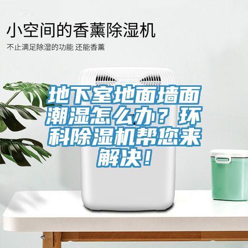地下室地面墻面潮濕怎么辦?環(huán)科除濕機幫您來解決!