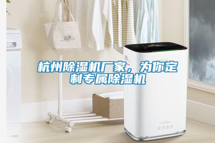 杭州除濕機廠家，為你定制專屬除濕機