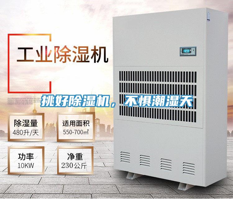 挑好除濕機，不懼潮濕天