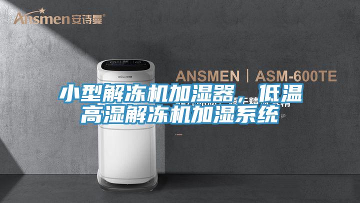 小型解凍機(jī)加濕器，低溫高濕解凍機(jī)加濕系統(tǒng)