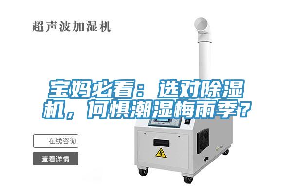 寶媽必看：選對(duì)除濕機(jī)，何懼潮濕梅雨季？