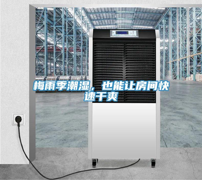 梅雨季潮濕，也能讓房間快速干爽