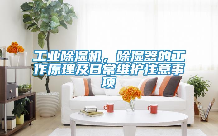 工業(yè)除濕機，除濕器的工作原理及日常維護注意事項