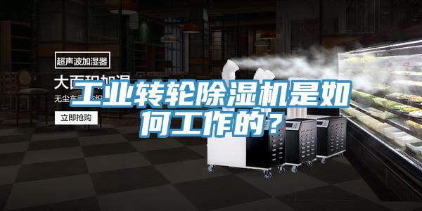 工業(yè)轉(zhuǎn)輪除濕機(jī)是如何工作的？