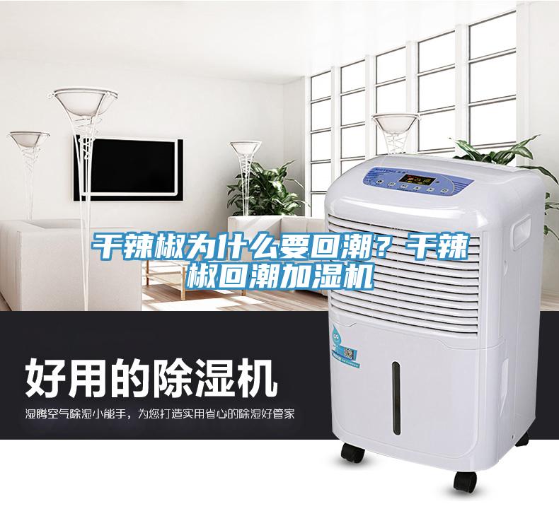 干辣椒為什么要回潮？干辣椒回潮加濕機(jī)