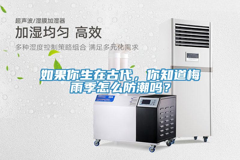 如果你生在古代，你知道梅雨季怎么防潮嗎？