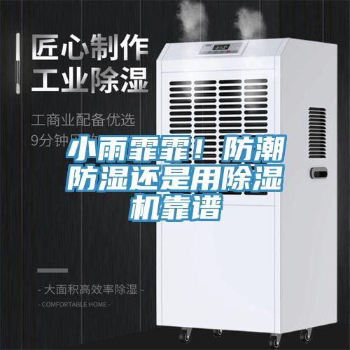 小雨霏霏！防潮防濕還是用除濕機(jī)靠譜