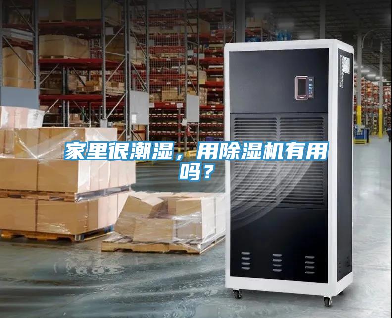 家里很潮濕，用除濕機(jī)有用嗎？