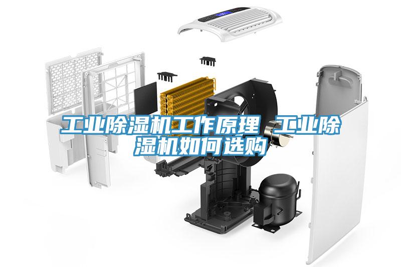 工業(yè)除濕機工作原理 工業(yè)除濕機如何選購