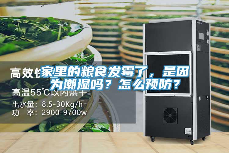 家里的糧食發(fā)霉了，是因為潮濕嗎？怎么預防？