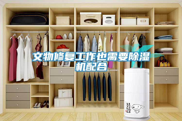 文物修復(fù)工作也需要除濕機配合
