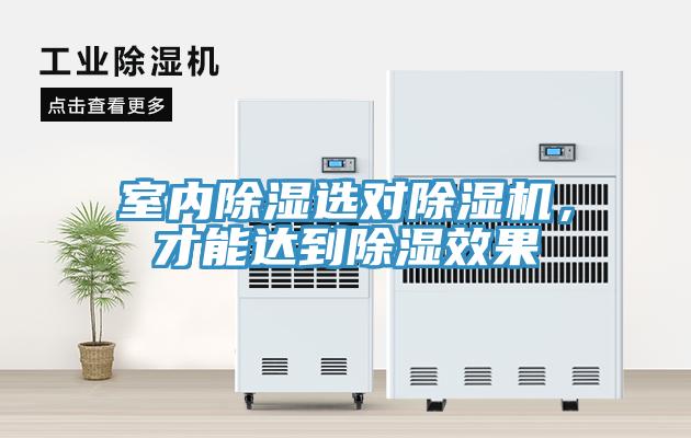 室內(nèi)除濕選對除濕機(jī)，才能達(dá)到除濕效果