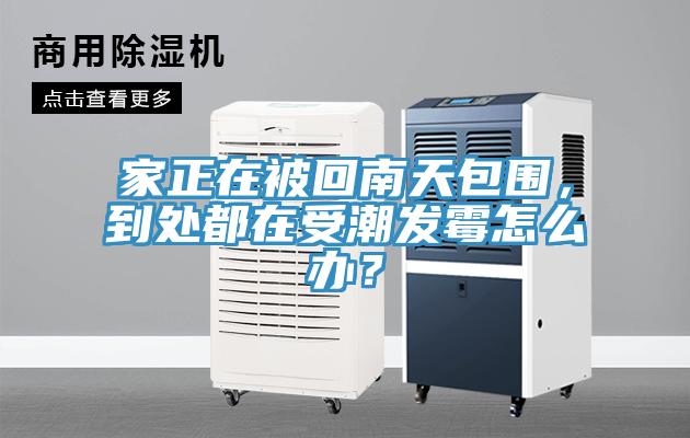 家正在被回南天包圍，到處都在受潮發(fā)霉怎么辦？