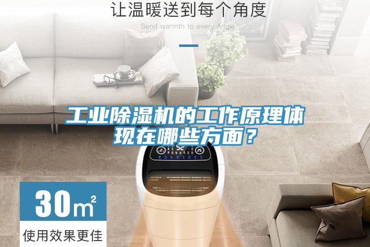 工業(yè)除濕機(jī)的工作原理體現(xiàn)在哪些方面？
