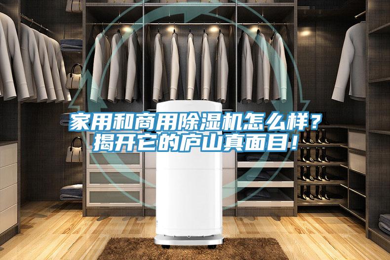 家用和商用除濕機(jī)怎么樣？揭開它的廬山真面目！