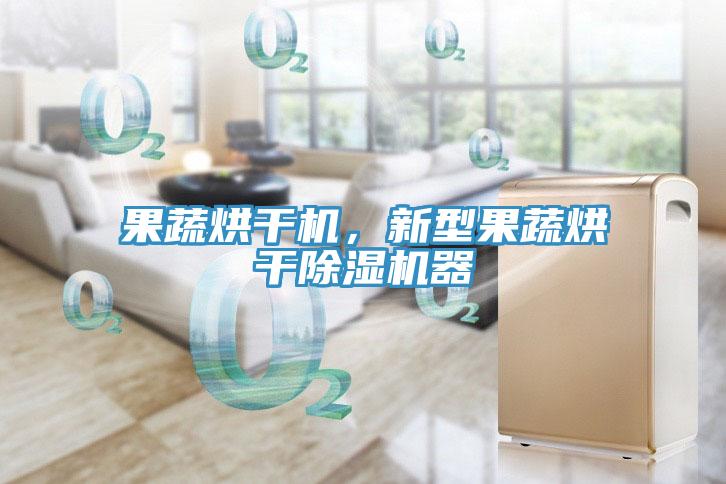 果蔬烘干機，新型果蔬烘干除濕機器