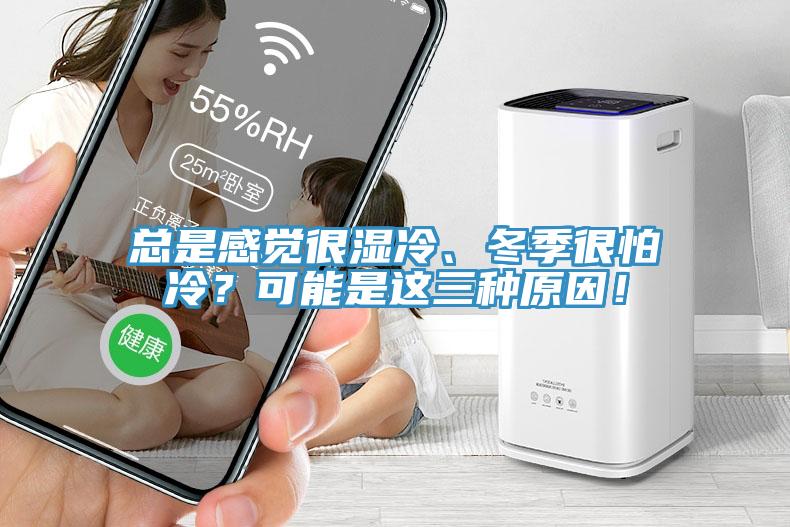 總是感覺(jué)很濕冷、冬季很怕冷？可能是這三種原因！