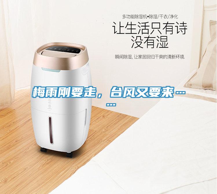 梅雨剛要走，臺風又要來……