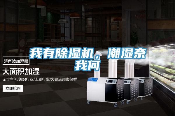 我有除濕機，潮濕奈我何