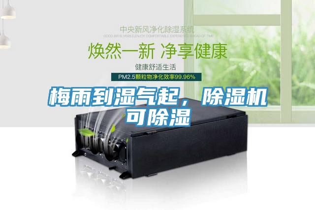 梅雨到濕氣起，除濕機可除濕