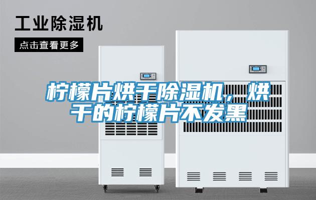 檸檬片烘干除濕機(jī)，烘干的檸檬片不發(fā)黑