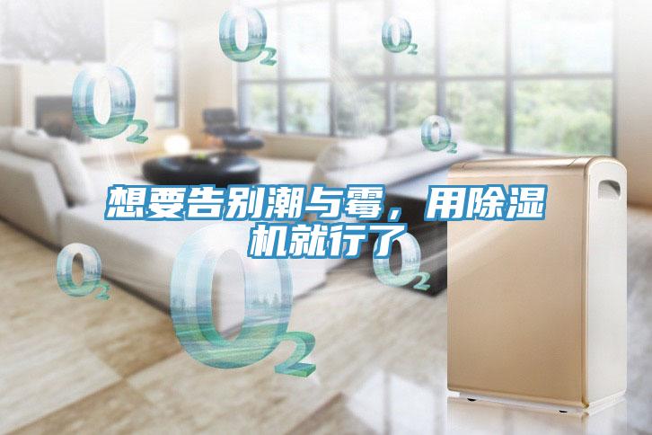 想要告別潮與霉，用除濕機就行了