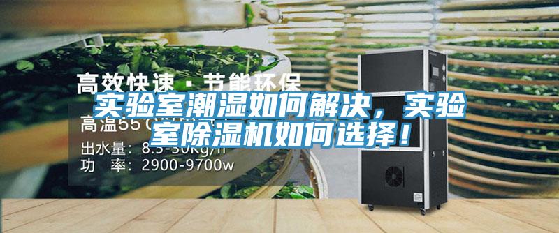 實驗室潮濕如何解決，實驗室除濕機如何選擇！