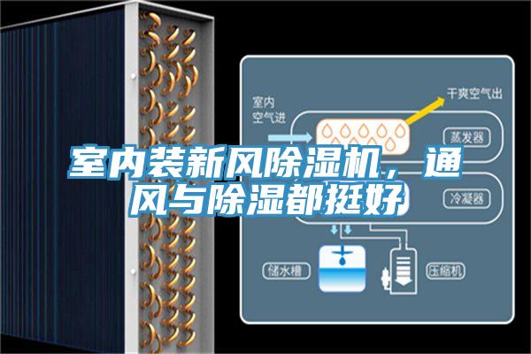 室內(nèi)裝新風(fēng)除濕機(jī)，通風(fēng)與除濕都挺好