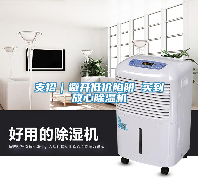 支招｜避開低價陷阱 買到放心除濕機