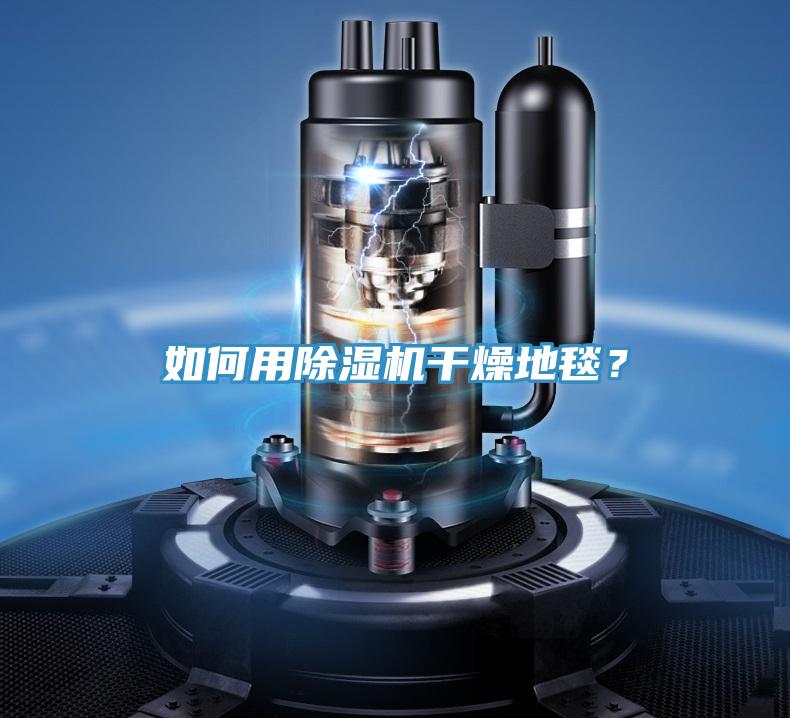如何用除濕機(jī)干燥地毯？