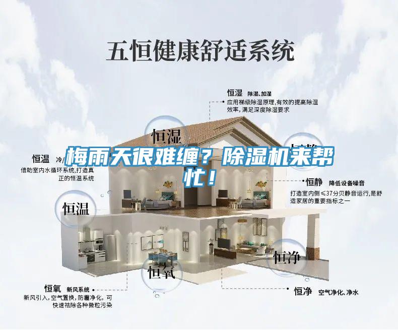 梅雨天很難纏？除濕機(jī)來幫忙！