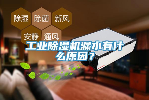 工業(yè)除濕機(jī)漏水有什么原因？