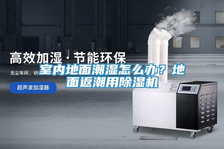 室內(nèi)地面潮濕怎么辦？地面返潮用除濕機