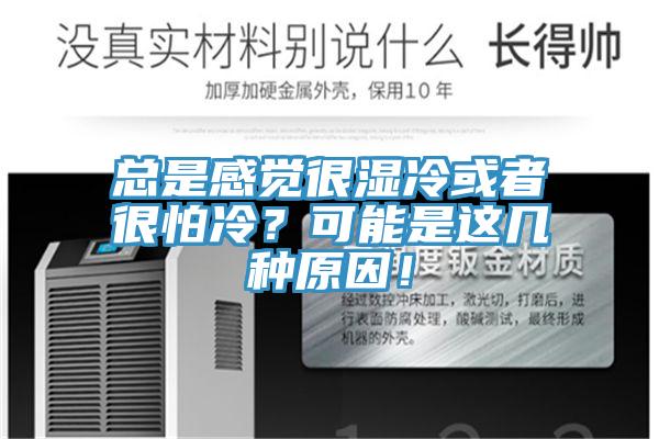 總是感覺(jué)很濕冷或者很怕冷？可能是這幾種原因！