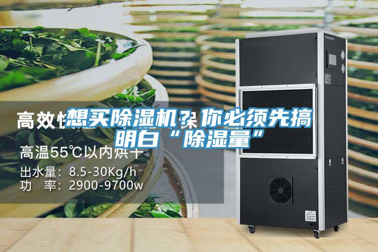 想買除濕機？你必須先搞明白“除濕量”
