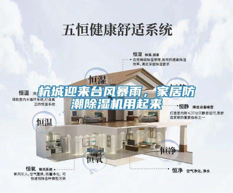 杭城迎來臺風暴雨，家居防潮除濕機用起來