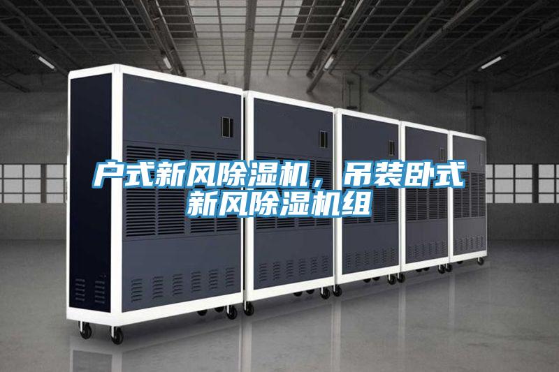 戶式新風除濕機，吊裝臥式新風除濕機組