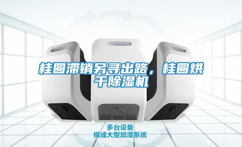 桂圓滯銷另尋出路，桂圓烘干除濕機(jī)
