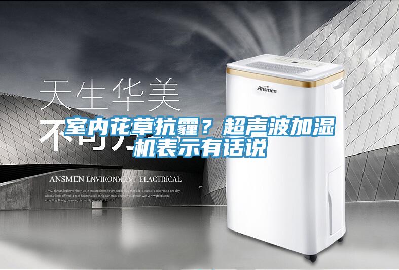 室內花草抗霾？超聲波加濕機表示有話說