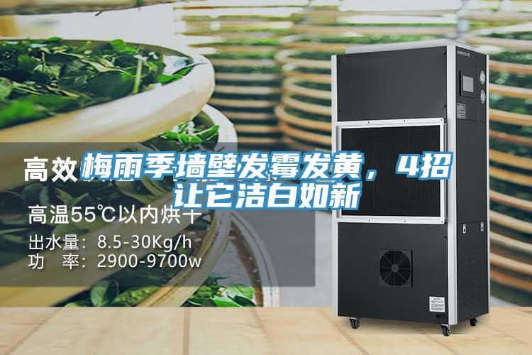 梅雨季墻壁發(fā)霉發(fā)黃，4招讓它潔白如新