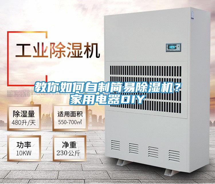 教你如何自制簡易除濕機？家用電器DIY