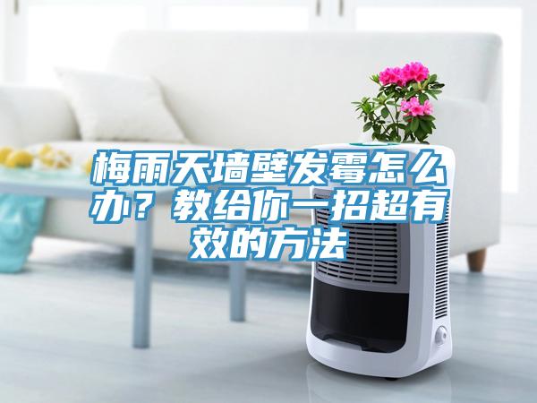 梅雨天墻壁發(fā)霉怎么辦？教給你一招超有效的方法
