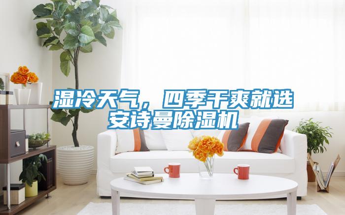 濕冷天氣，四季干爽就選安詩(shī)曼除濕機(jī)