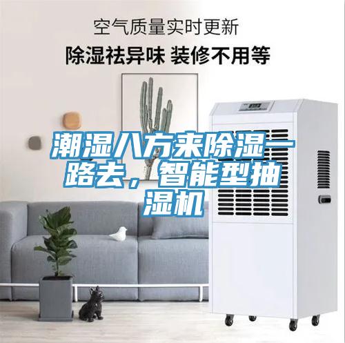 潮濕八方來除濕一路去，智能型抽濕機