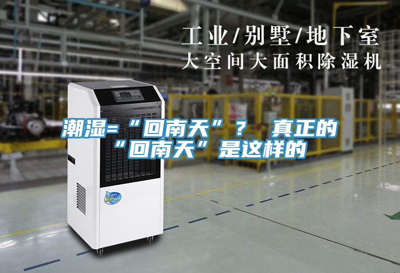 潮濕=“回南天”？ 真正的“回南天”是這樣的