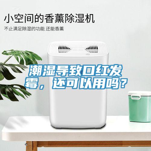 潮濕導(dǎo)致口紅發(fā)霉，還可以用嗎？