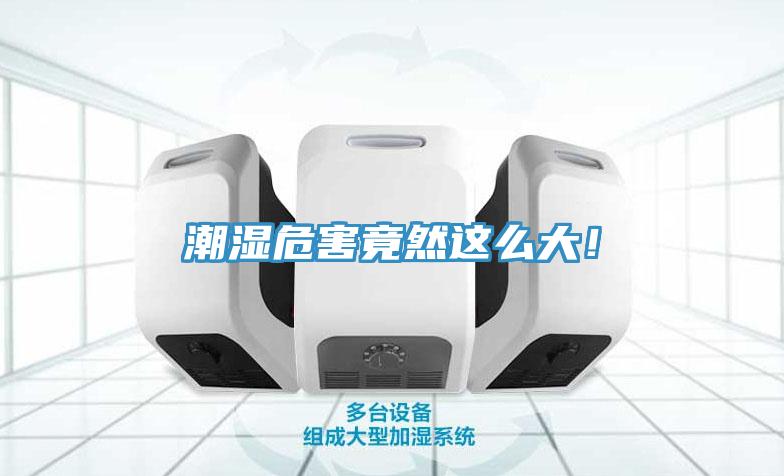 潮濕危害竟然這么大！