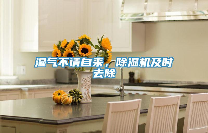 濕氣不請自來，除濕機(jī)及時(shí)去除