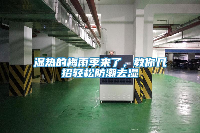 濕熱的梅雨季來了，教你幾招輕松防潮去濕