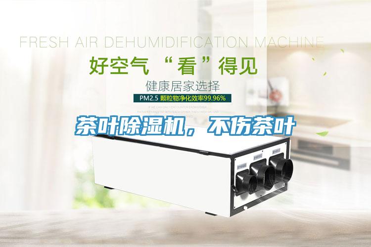 茶葉除濕機(jī)，不傷茶葉